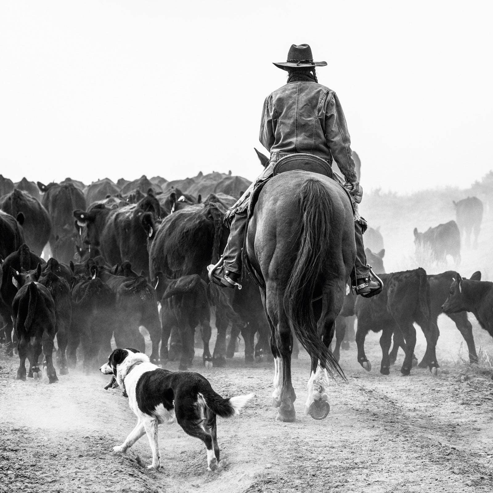A Ranch Year by Isabelle Arnon