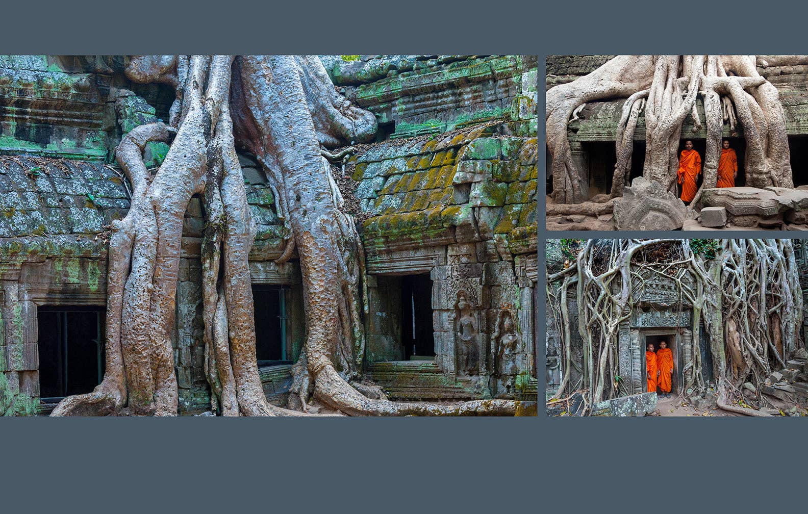 Trees-Between Earth and Heaven Photography by Art Wolfe