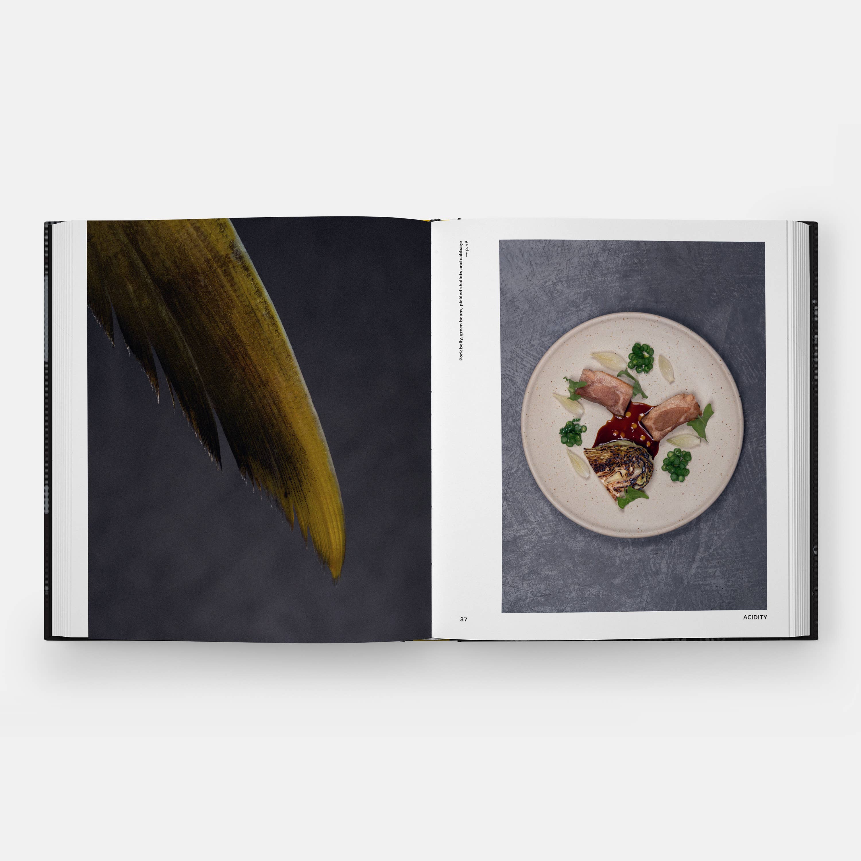Oteque: Ideas, Principles, Recipes, Stories and Connections