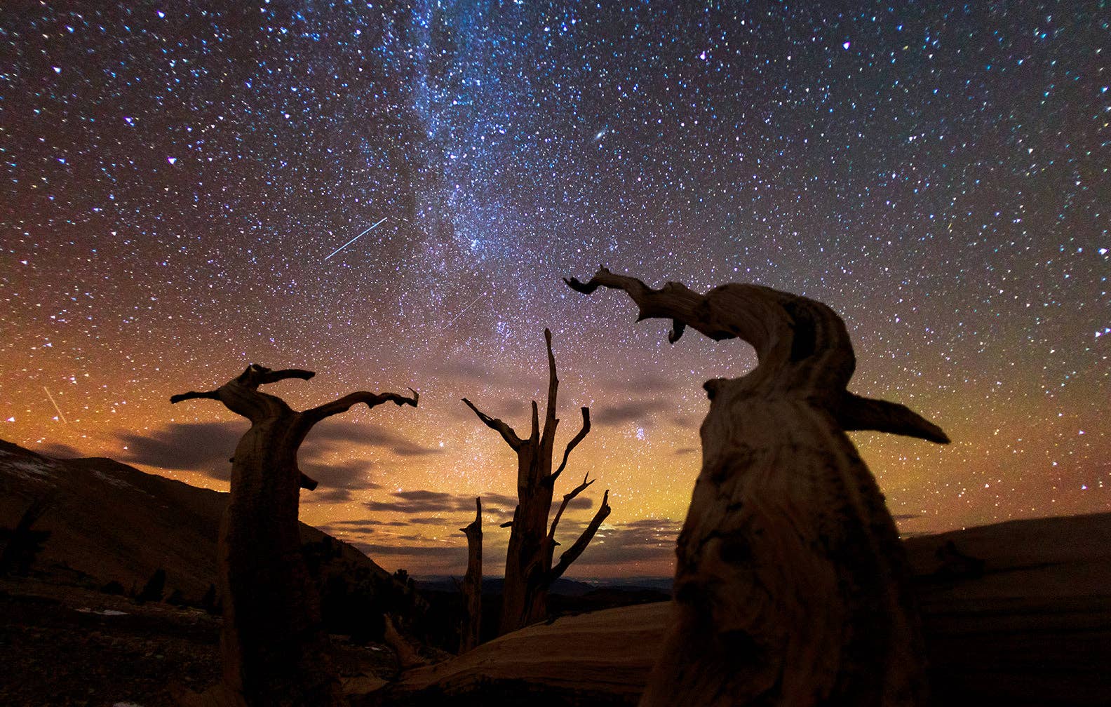 Trees-Between Earth and Heaven Photography by Art Wolfe