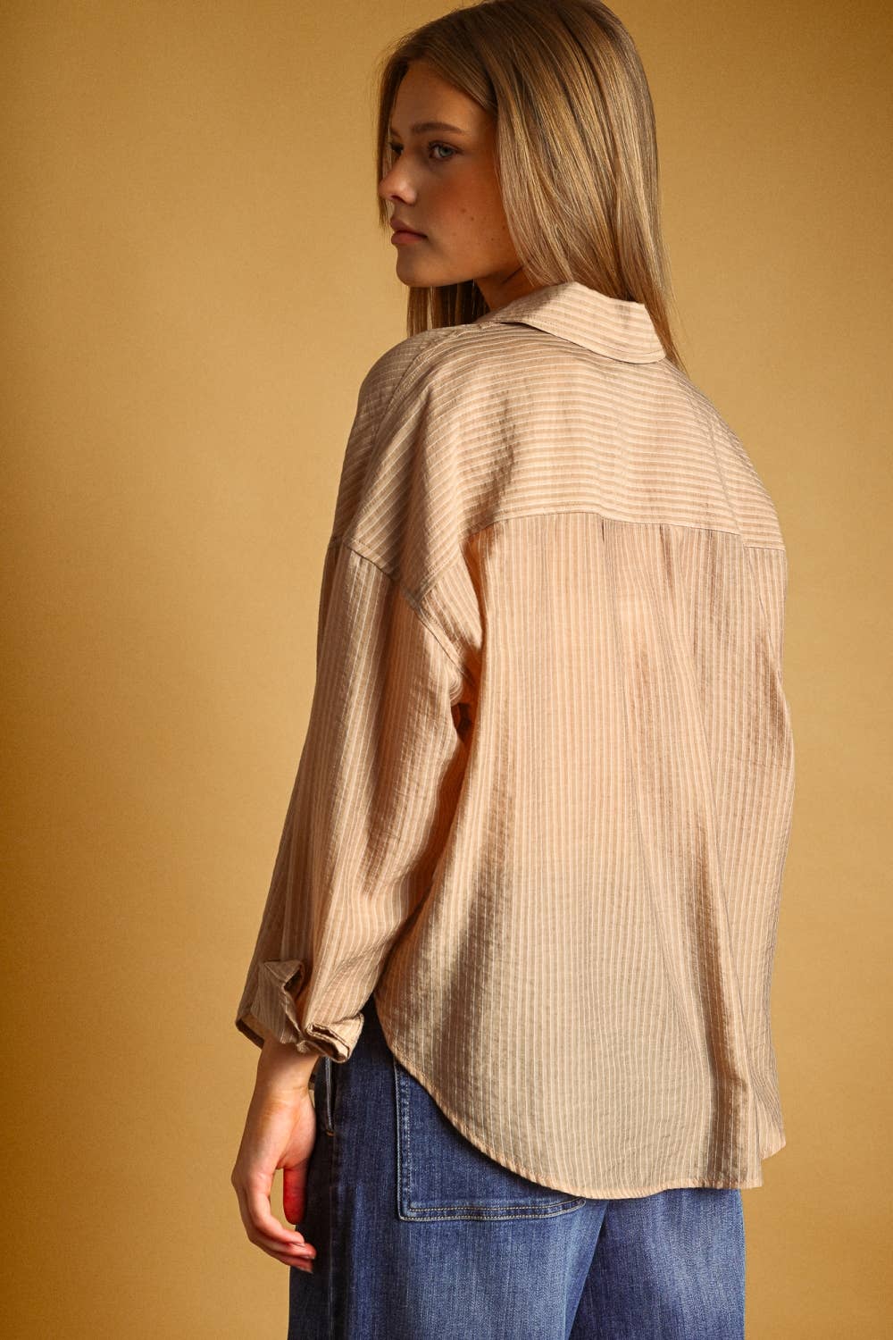Pin Striped Sheer Shirt