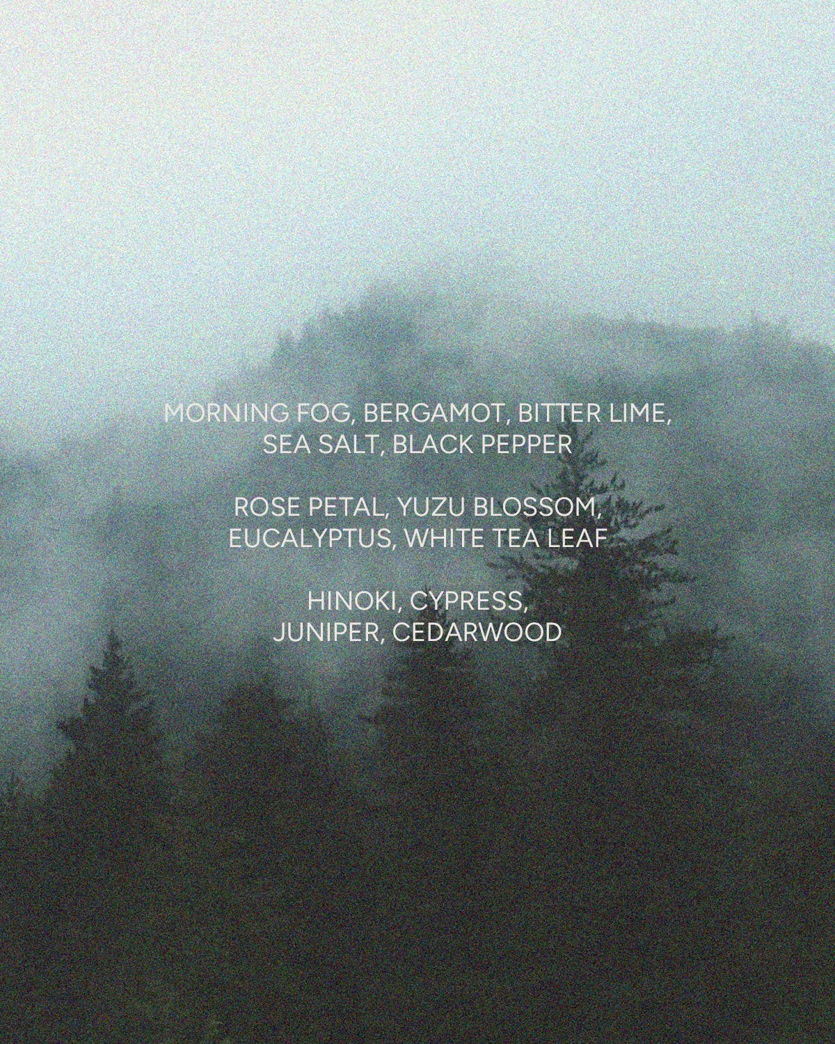 Hinoki Hideaway Votive by The Sensory Riot