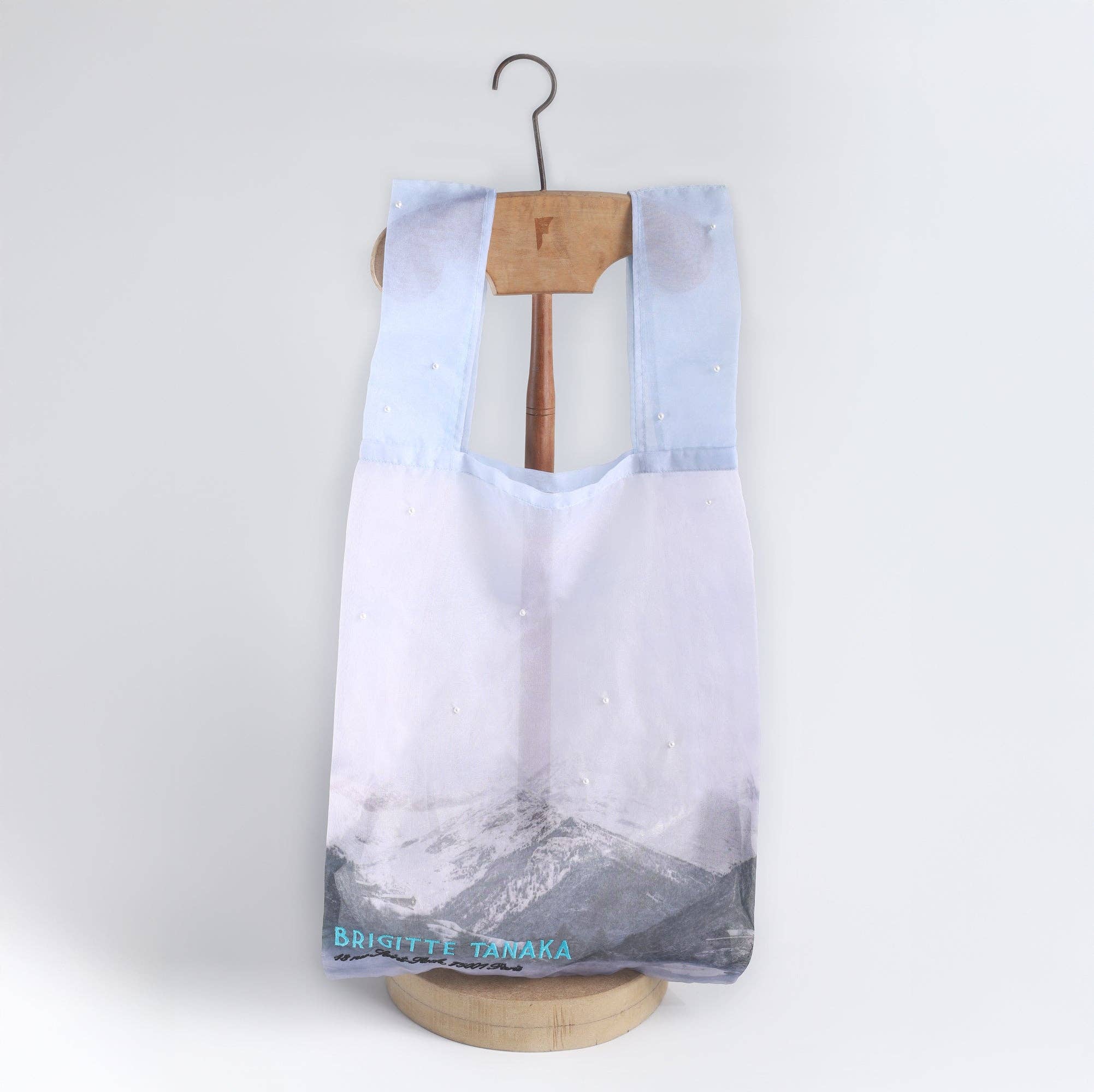 Pearl Landscape Bag by BRIGETTE TANAKA