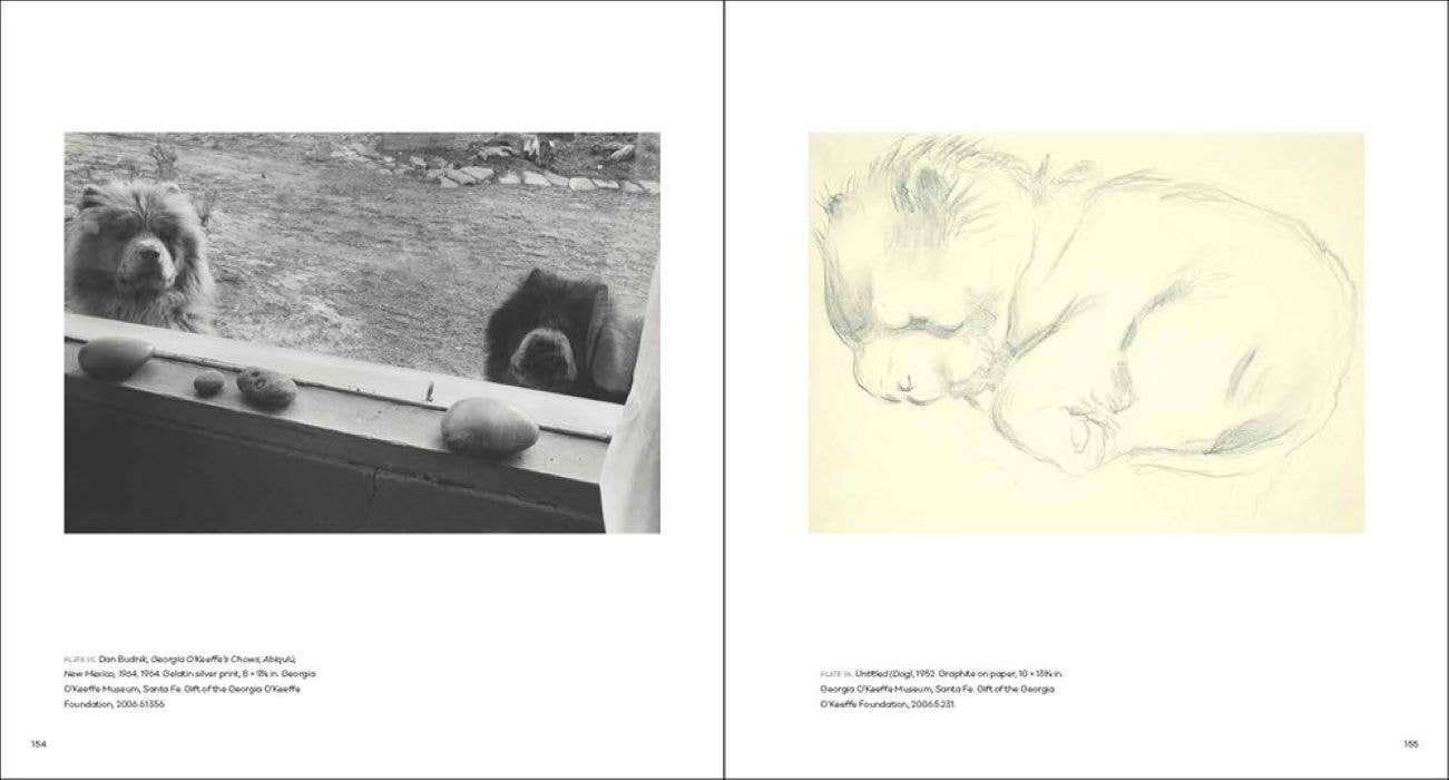 Georgia O'Keeffe, Photographer:
