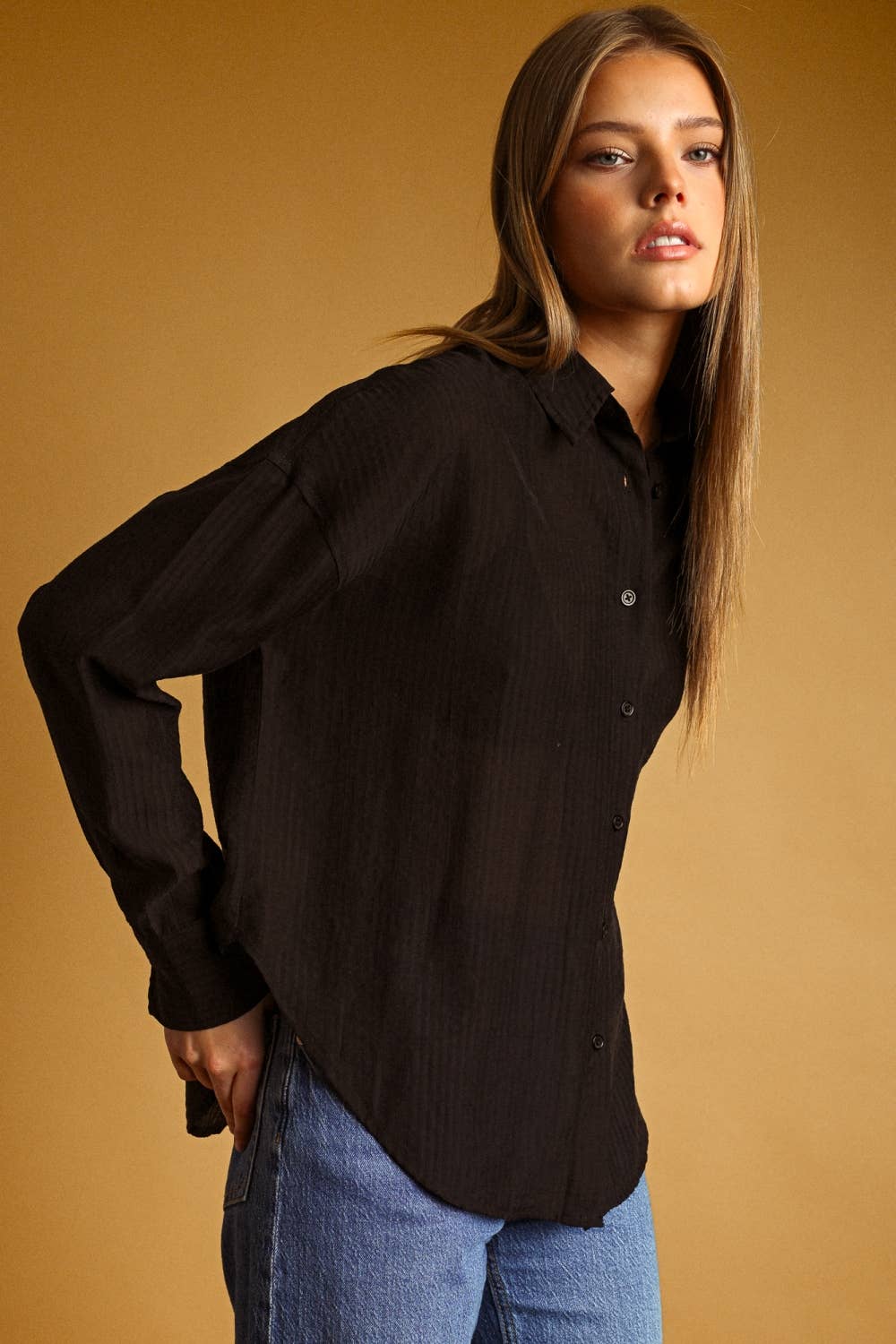 Pin Striped Sheer Shirt