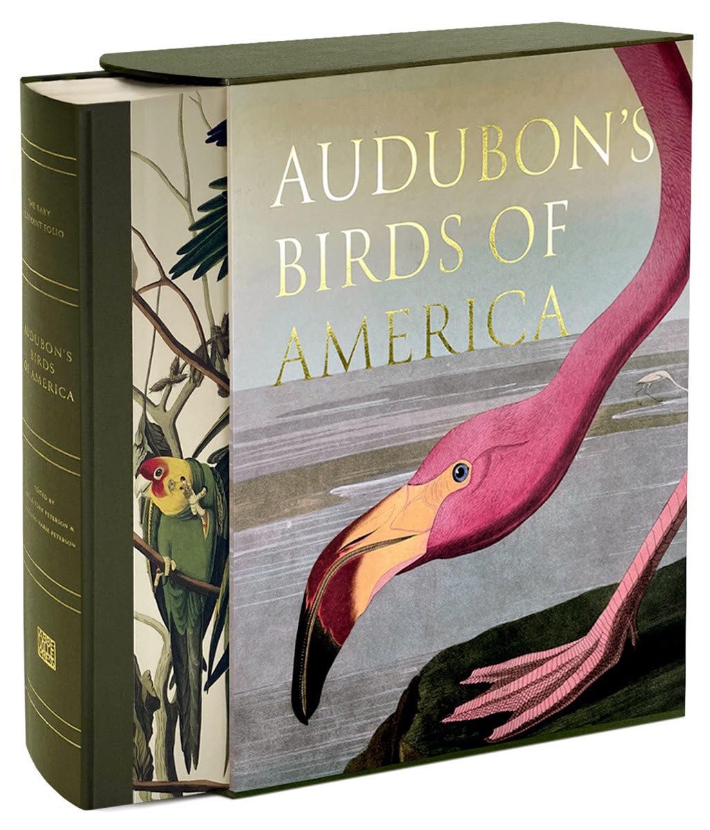 Audubon's Birds of America by LR + BA