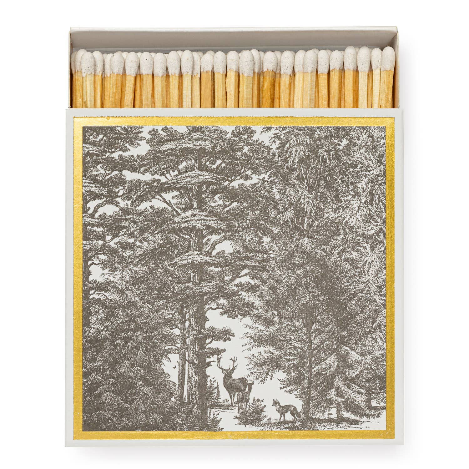 Enchanted Forest | Square - Safety Matches