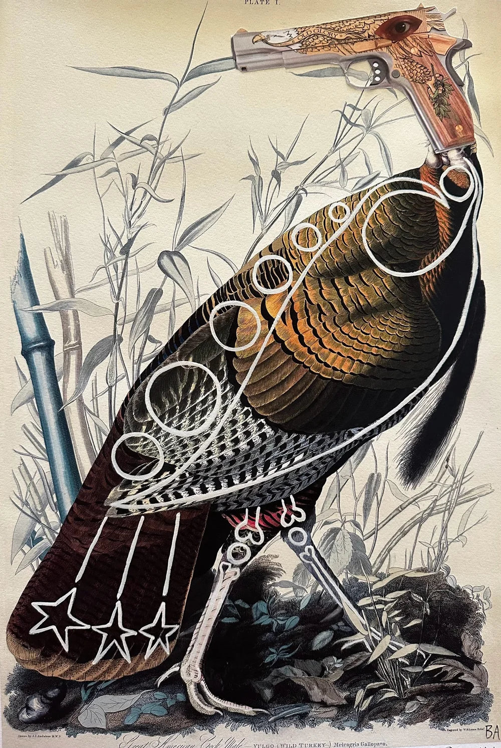 Franklin's National Bird (Print) by Butch Anthony
