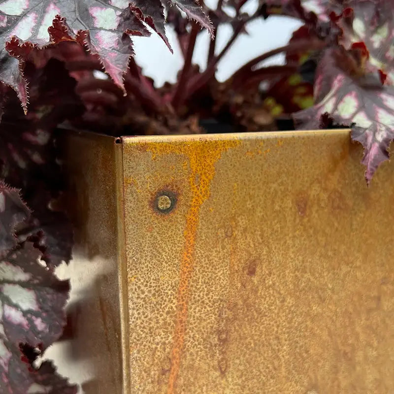 Steel Planter Box 12"