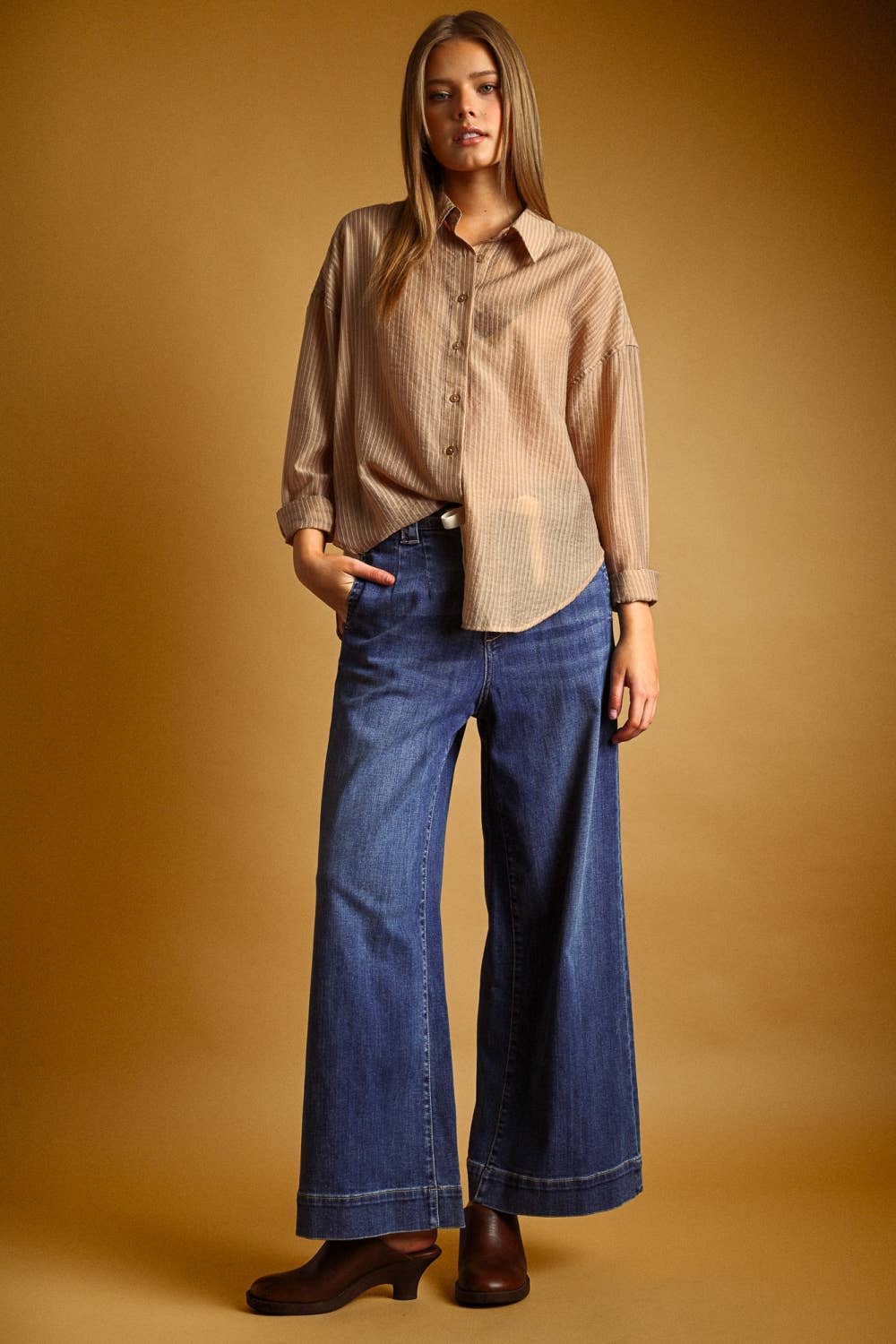 Pin Striped Sheer Shirt