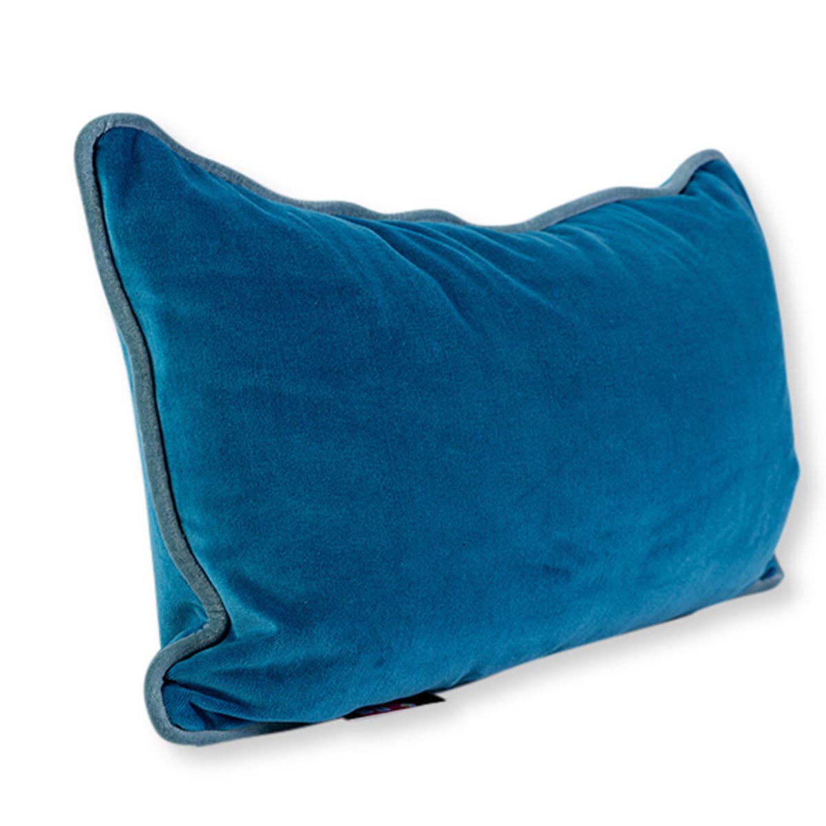 Charliss Velvet Lumbar Pillow | Peacock + Aqua