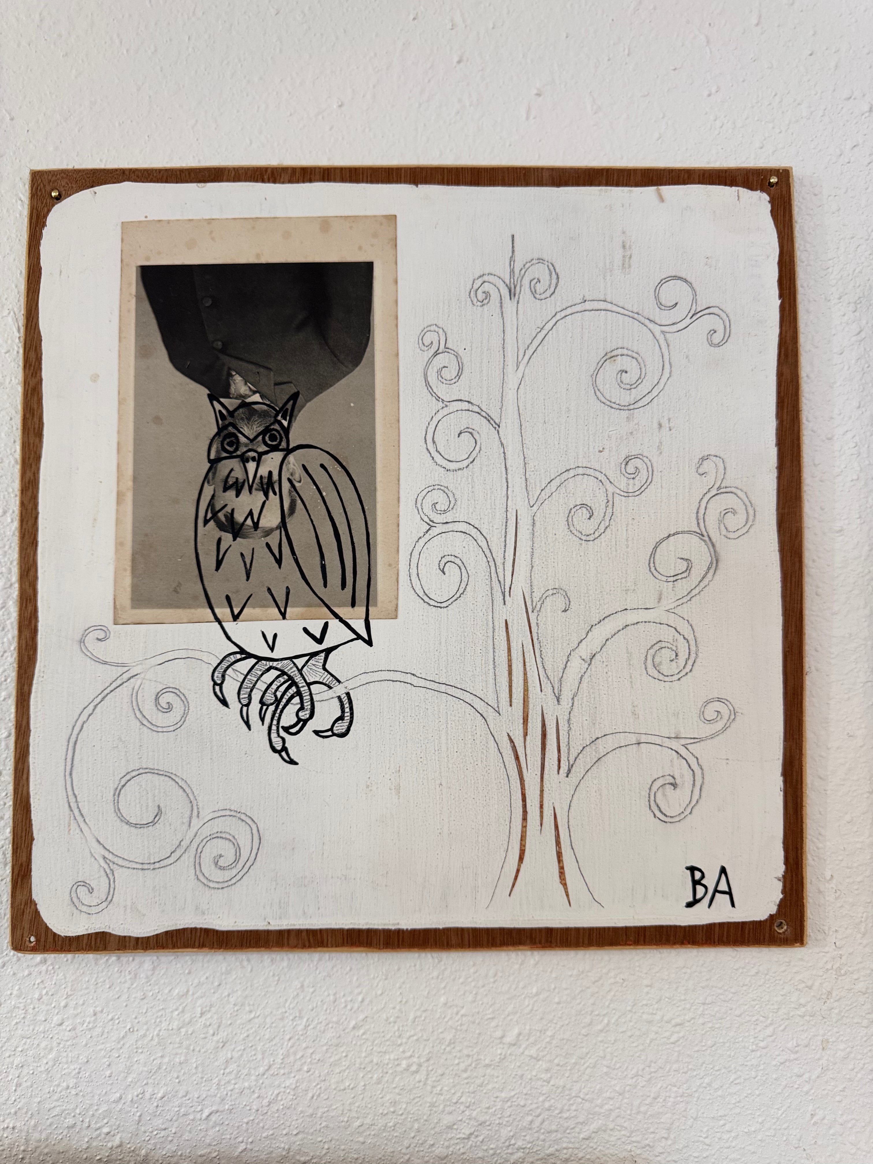 Hoot Owl by Butch Anthony