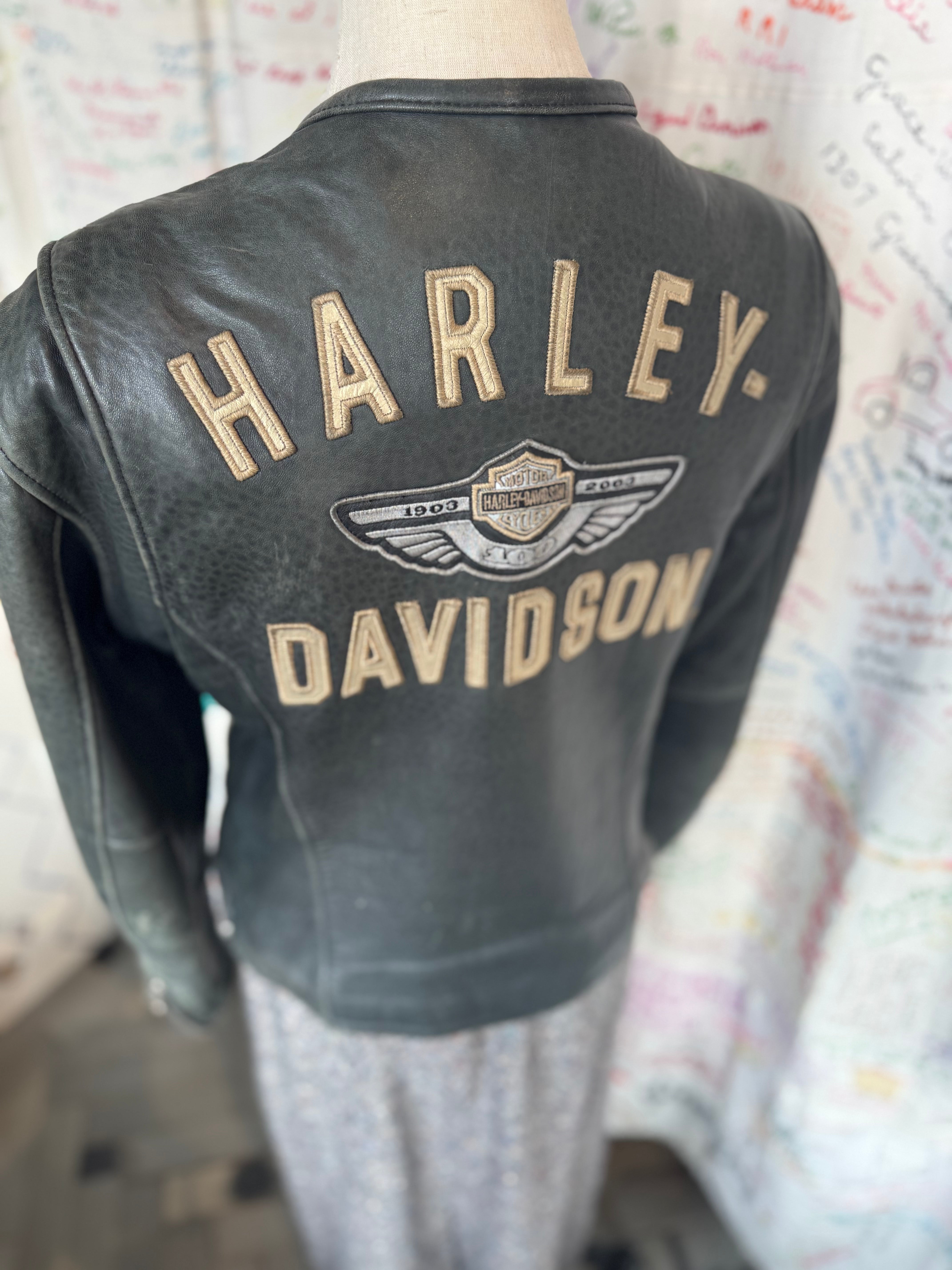 Harley Davidson 100 year Commemorative Leather Jacket