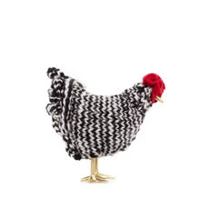 city girl farm mini chicken