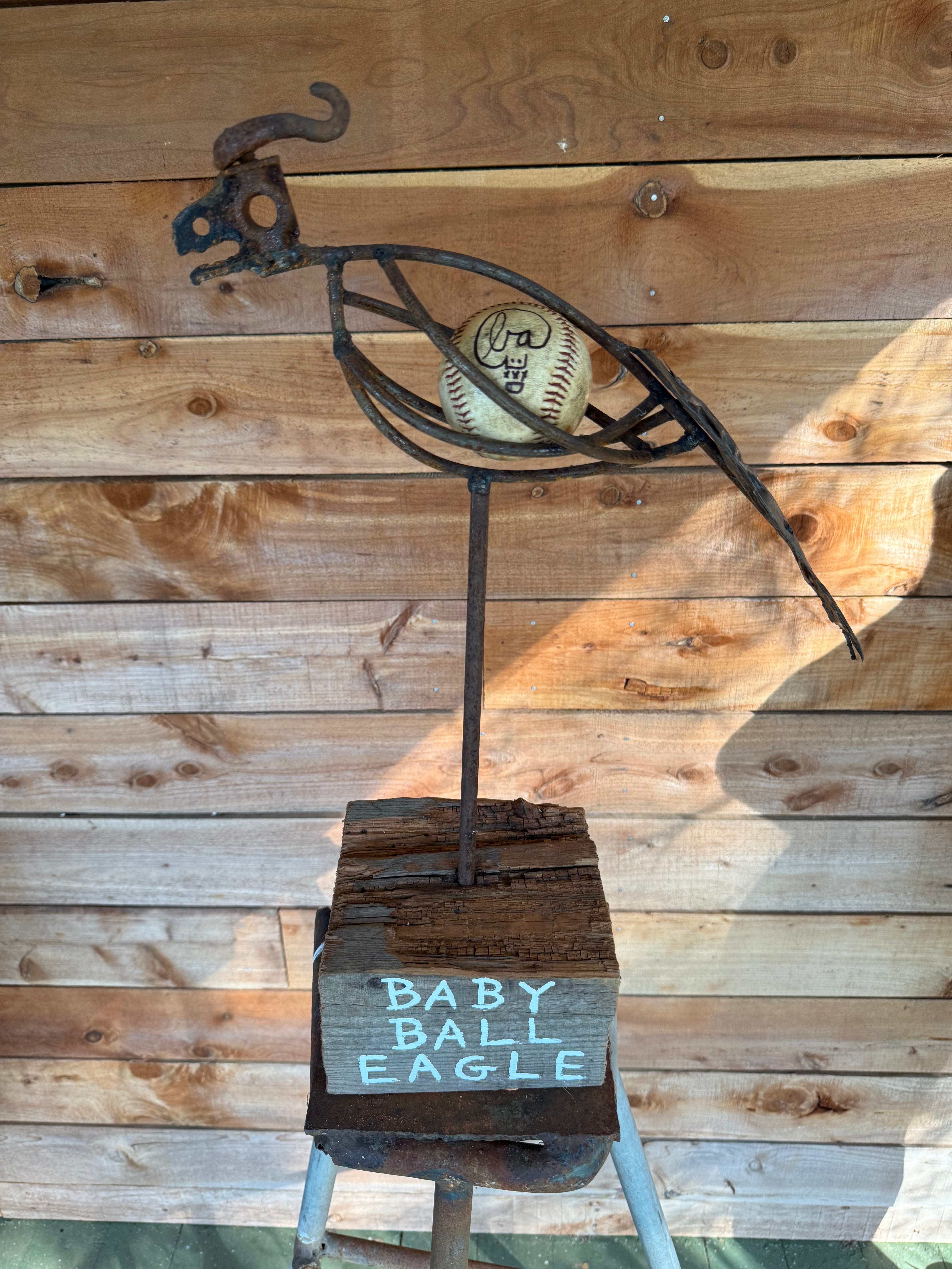 Baby Ball Eagle by Butch Anthony