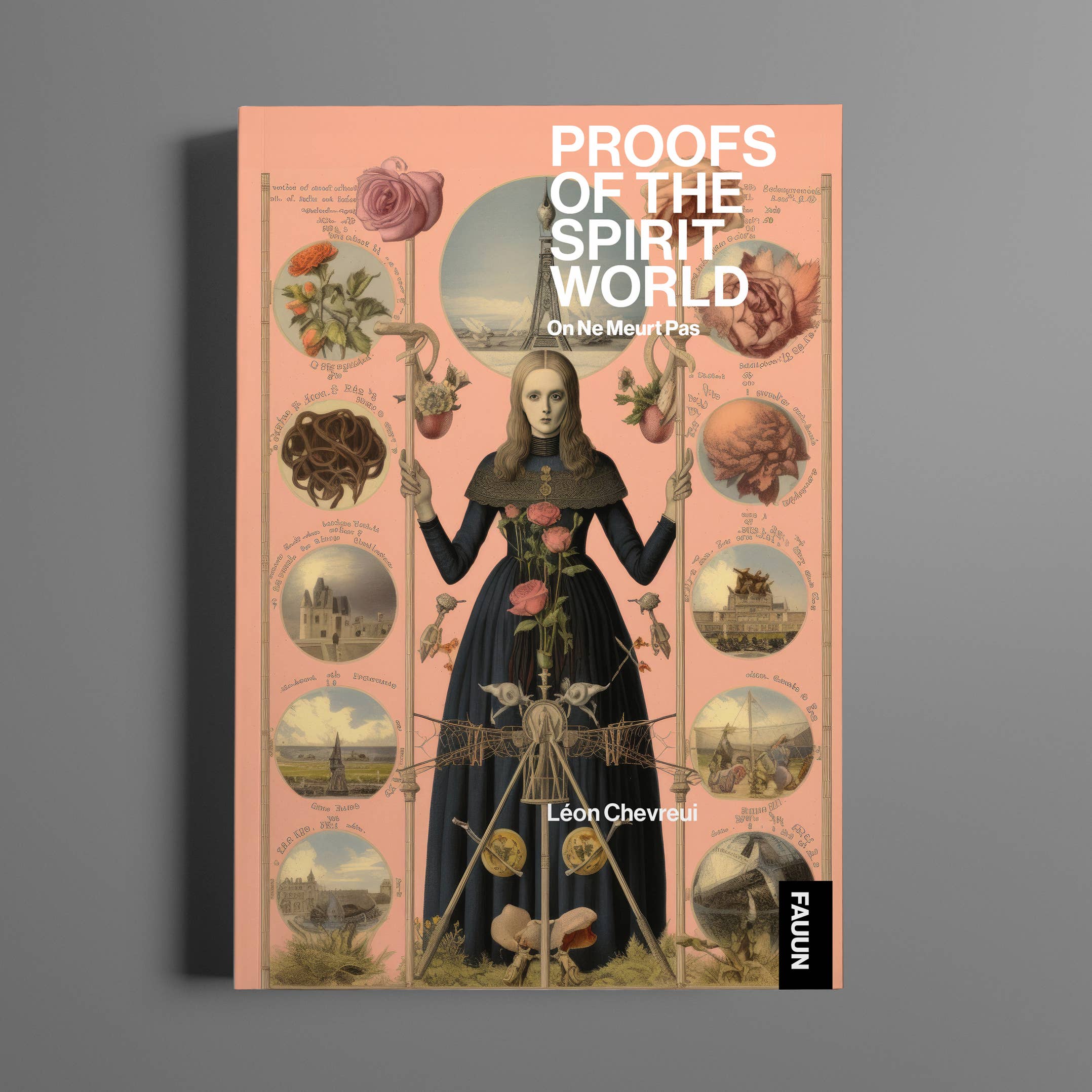 Proofs of the Spirit World - Leon Chevreuil