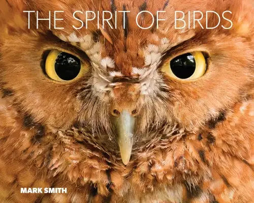 The Spirit of Birds by Mark Smith