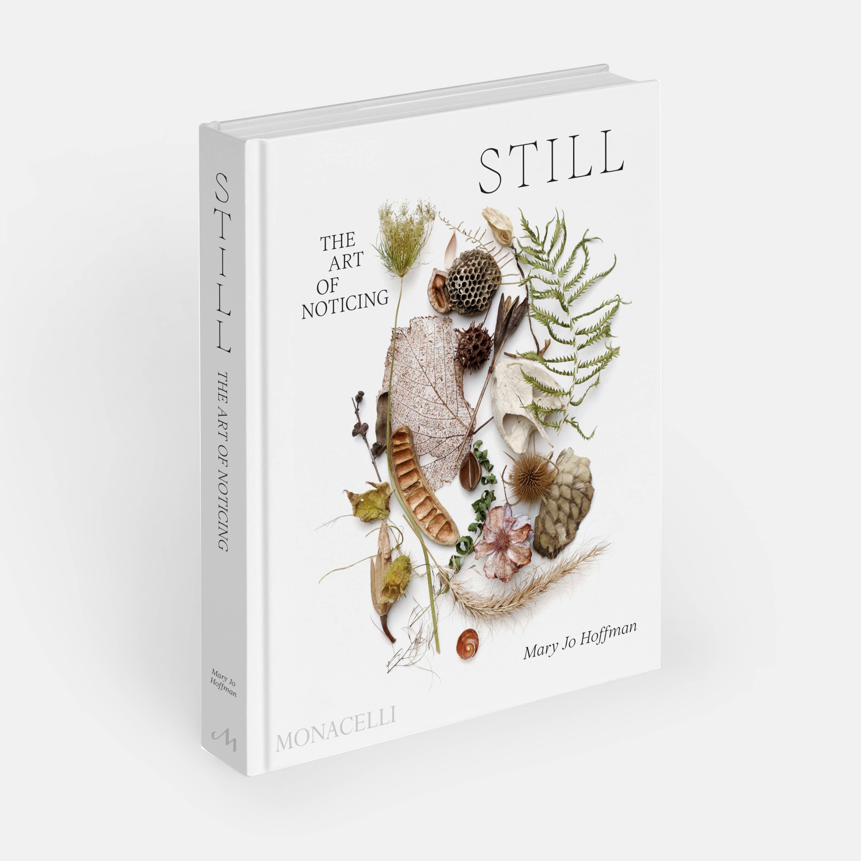 STILL: The Art of Noticing by Mary Jo Hoffman