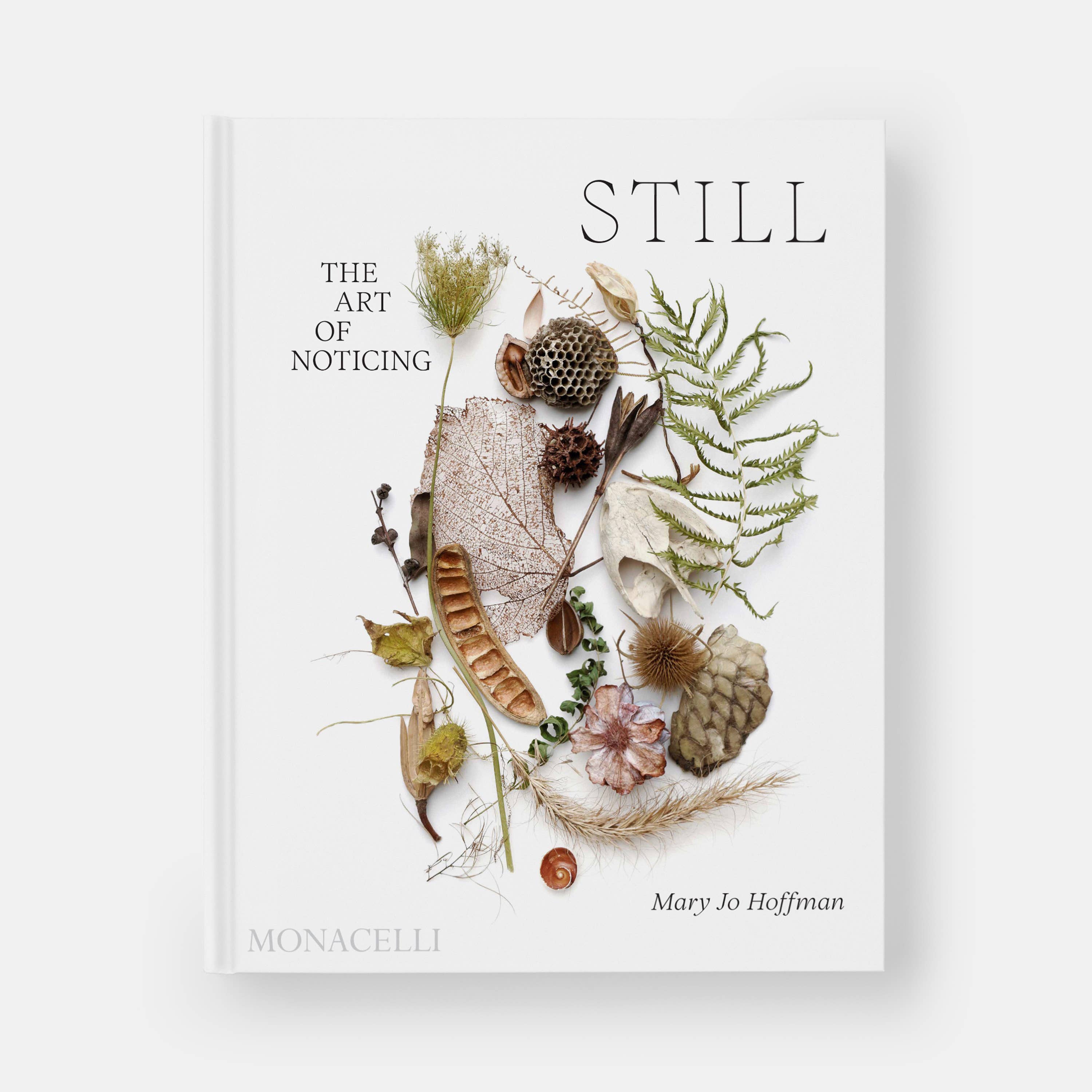 STILL: The Art of Noticing by Mary Jo Hoffman
