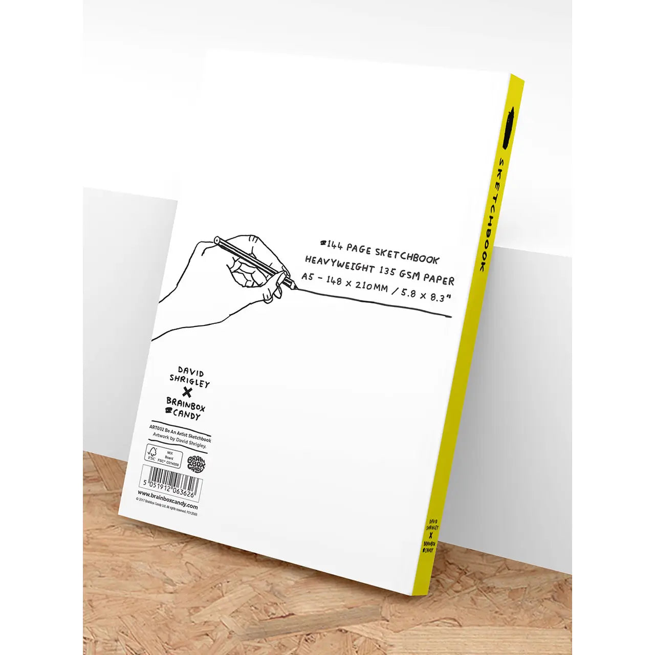 David Shrigley Art Sketchbooks