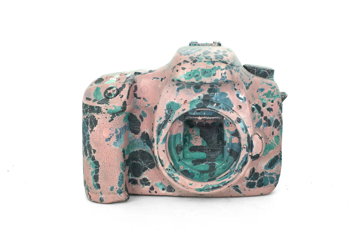 Concrete Cat Camera Sculpture