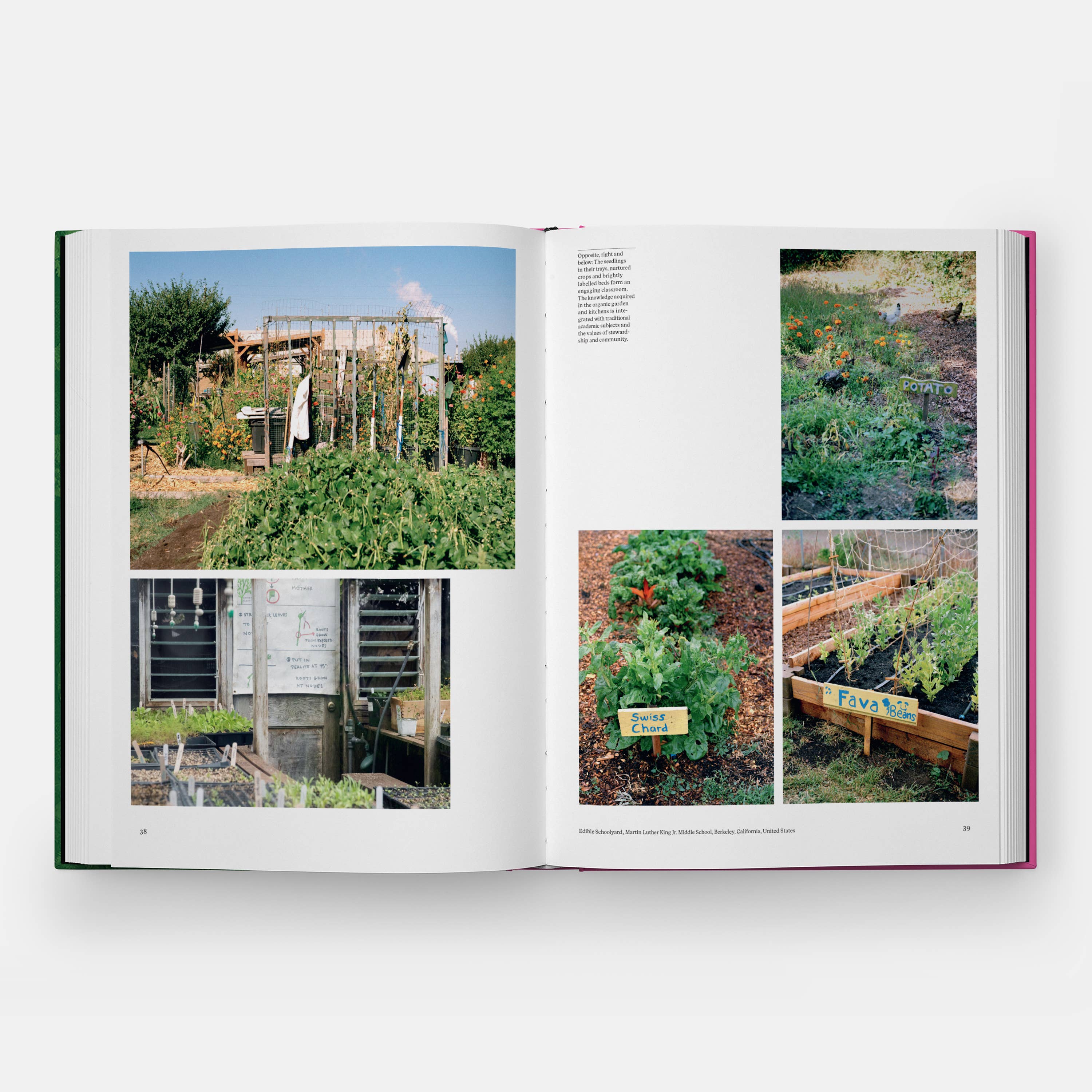 The Kitchen Garden