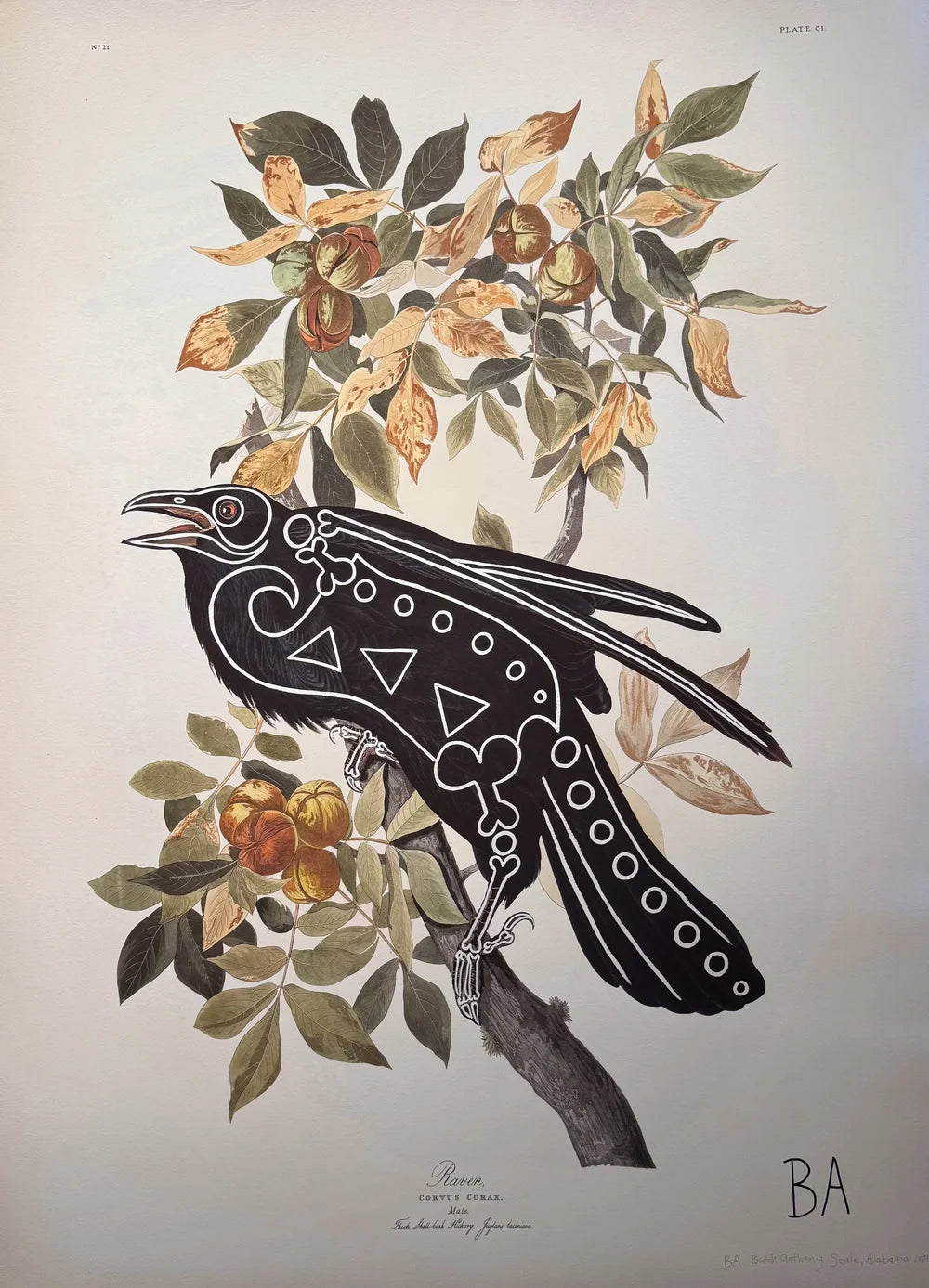 Crow by Butch Anthony