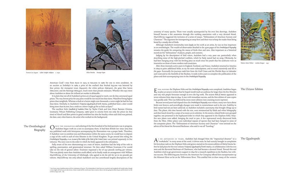 Audubon's Birds of America: The Baby Elephant Folio
