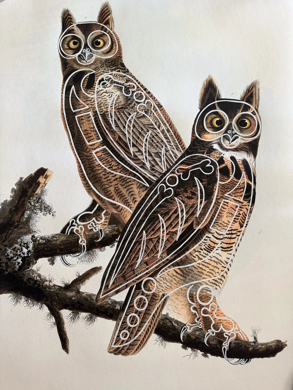 Great Horned Owls by Butch Anthony