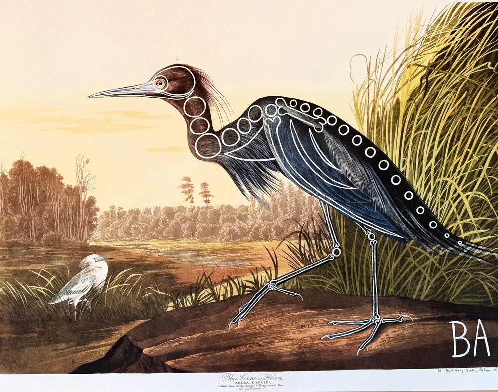 Little Blue Heron by Butch Anthony