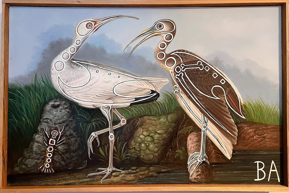 White Ibis by Butch Anthony