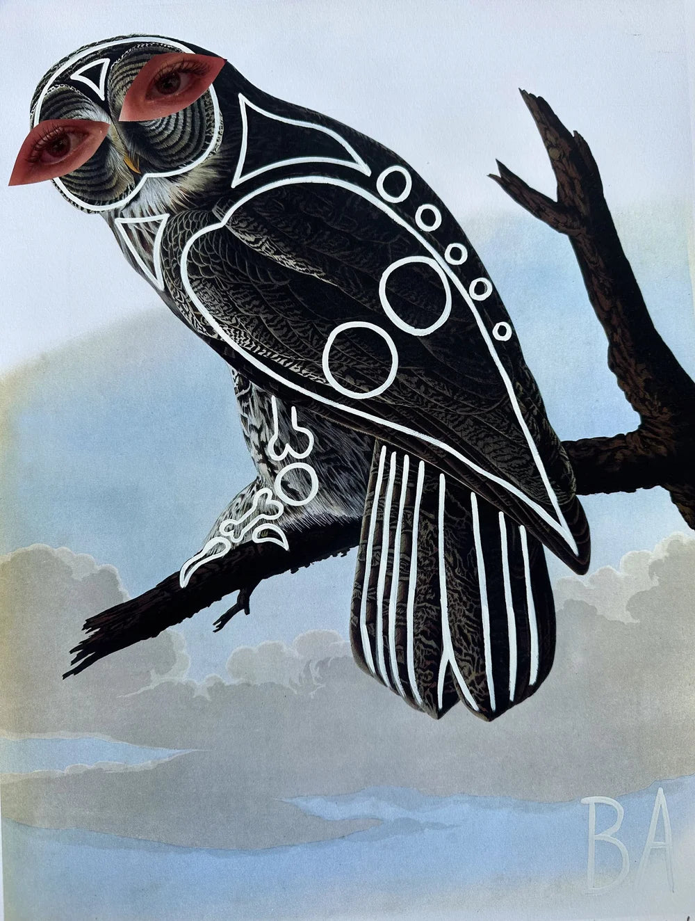 Owl #20,749 (Print) by Butch Anthony