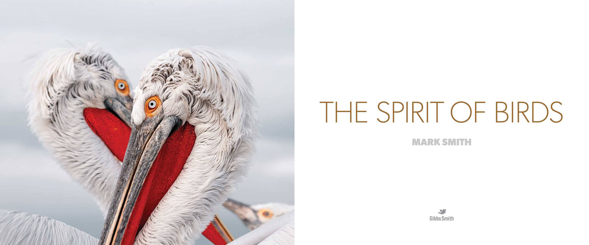 The Spirit of Birds by Mark Smith