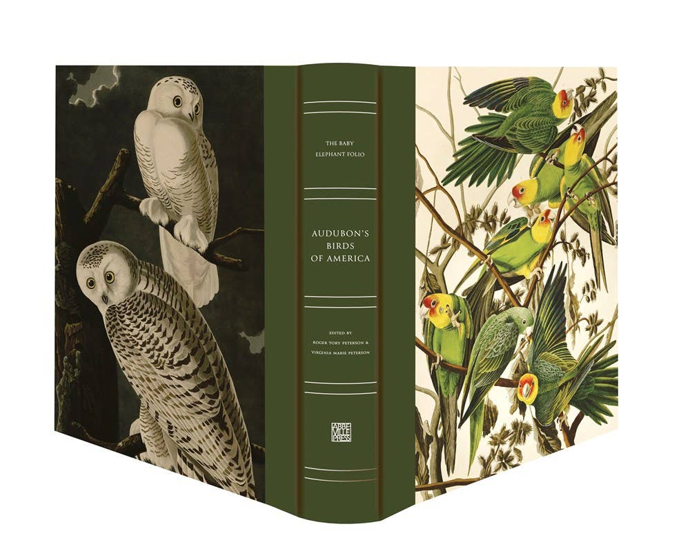 Audubon's Birds of America: The Baby Elephant Folio