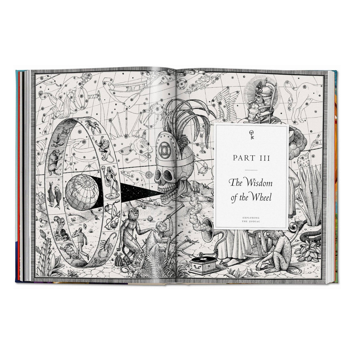 Astrology : The Library of Esoterica