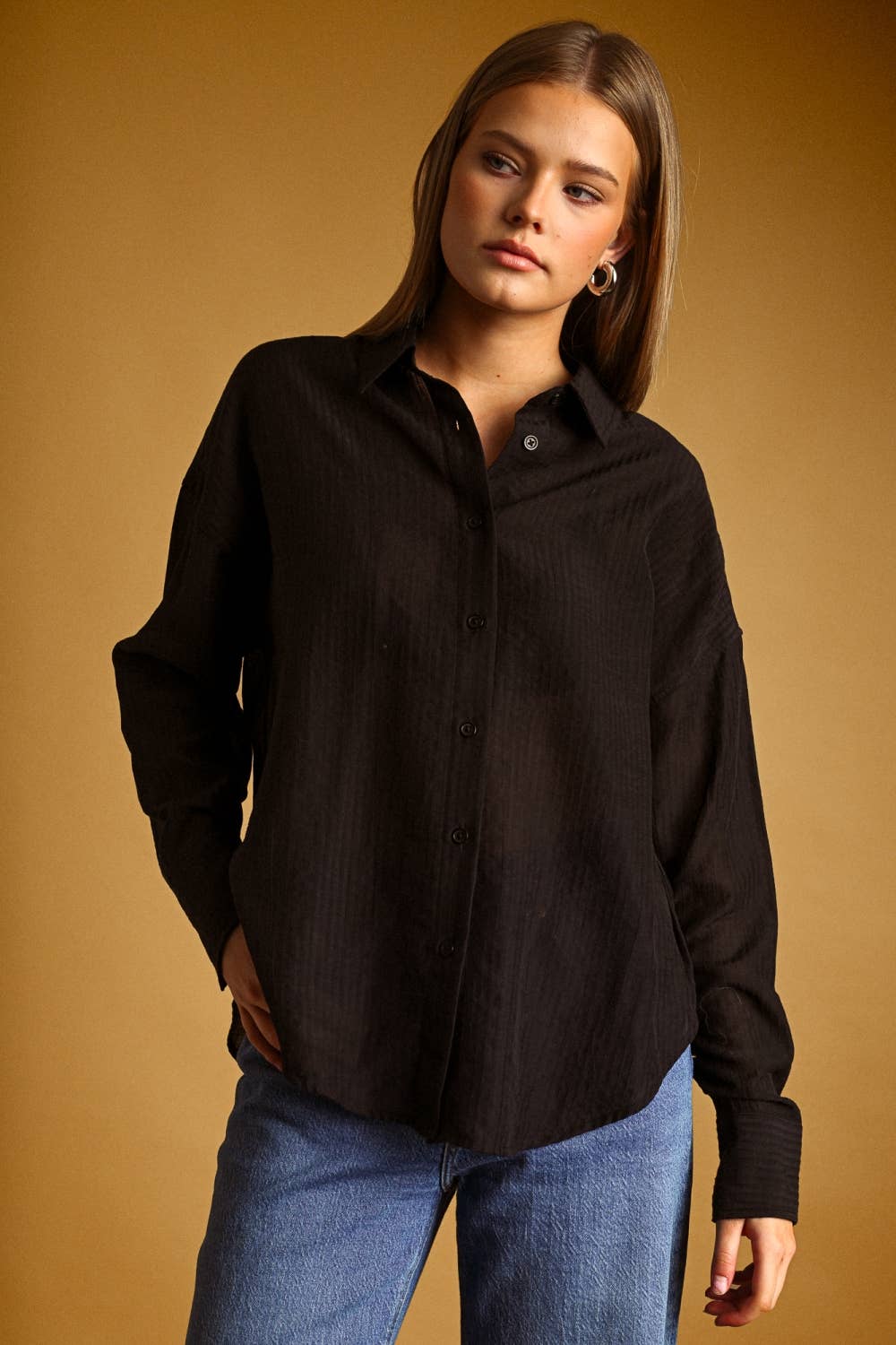 Pin Striped Sheer Shirt
