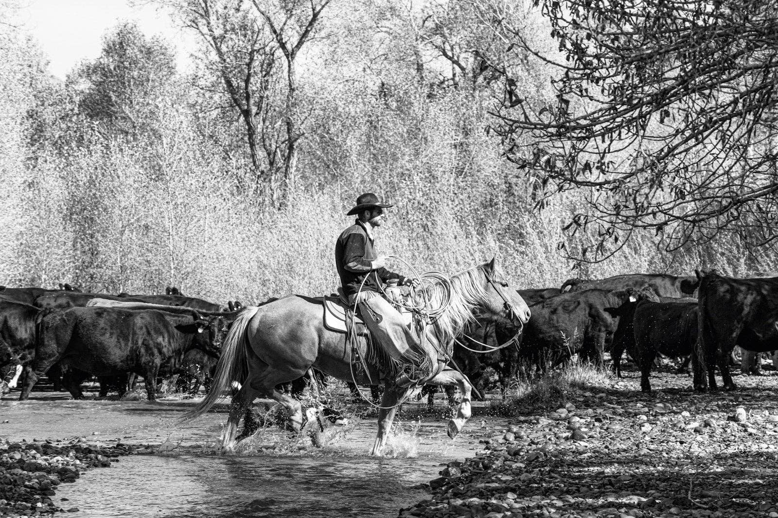 A Ranch Year by Isabelle Arnon