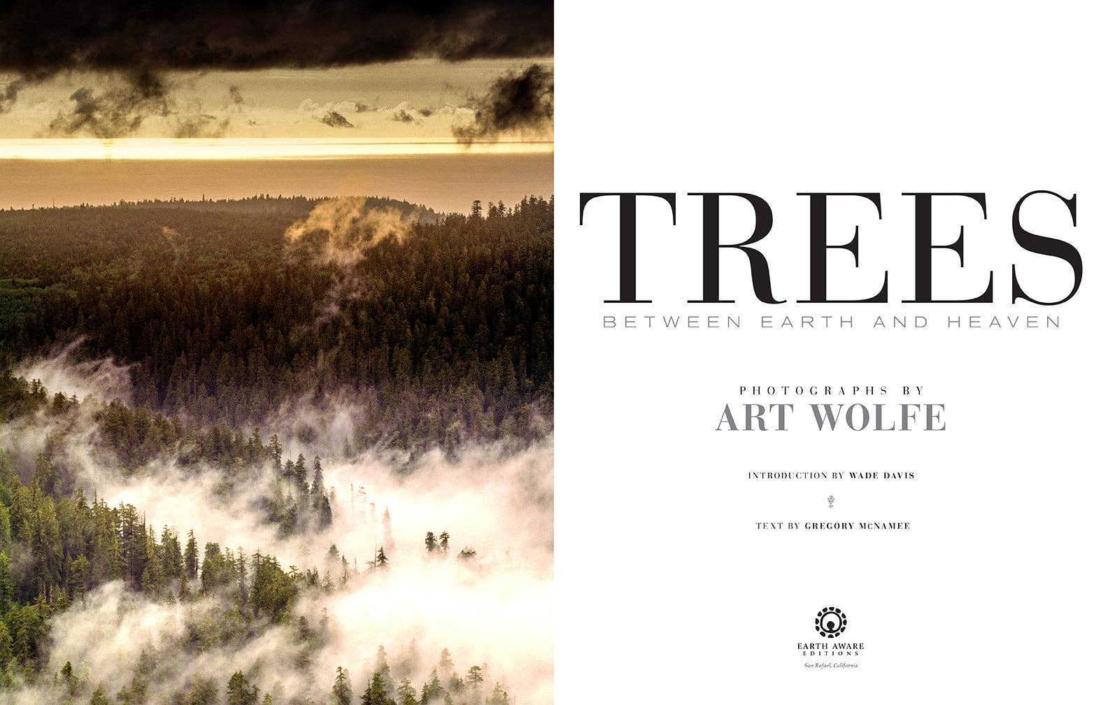 Trees-Between Earth and Heaven Photography by Art Wolfe