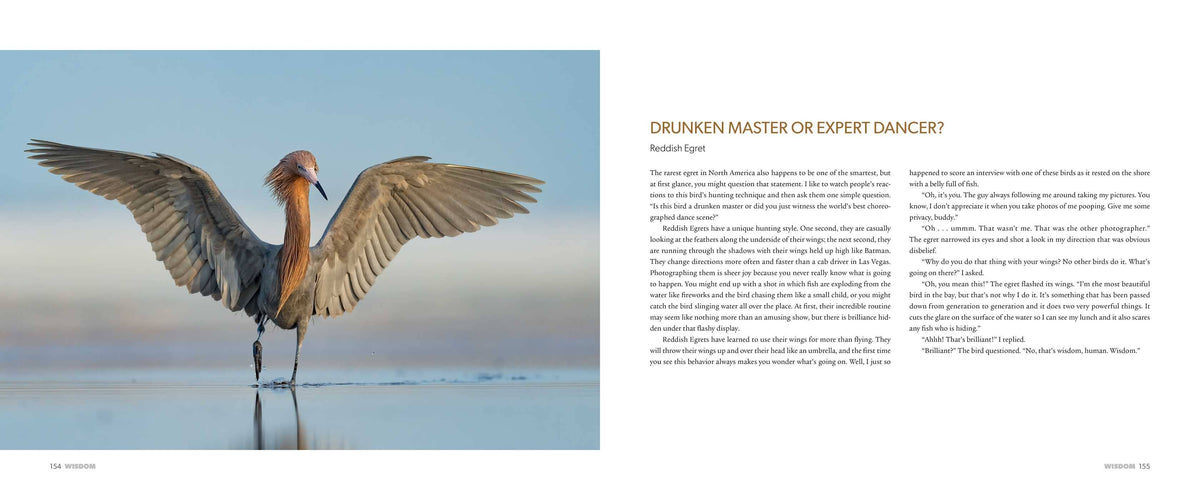The Spirit of Birds by Mark Smith