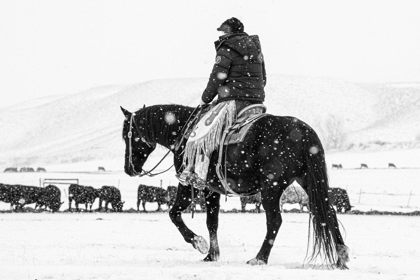 A Ranch Year by Isabelle Arnon