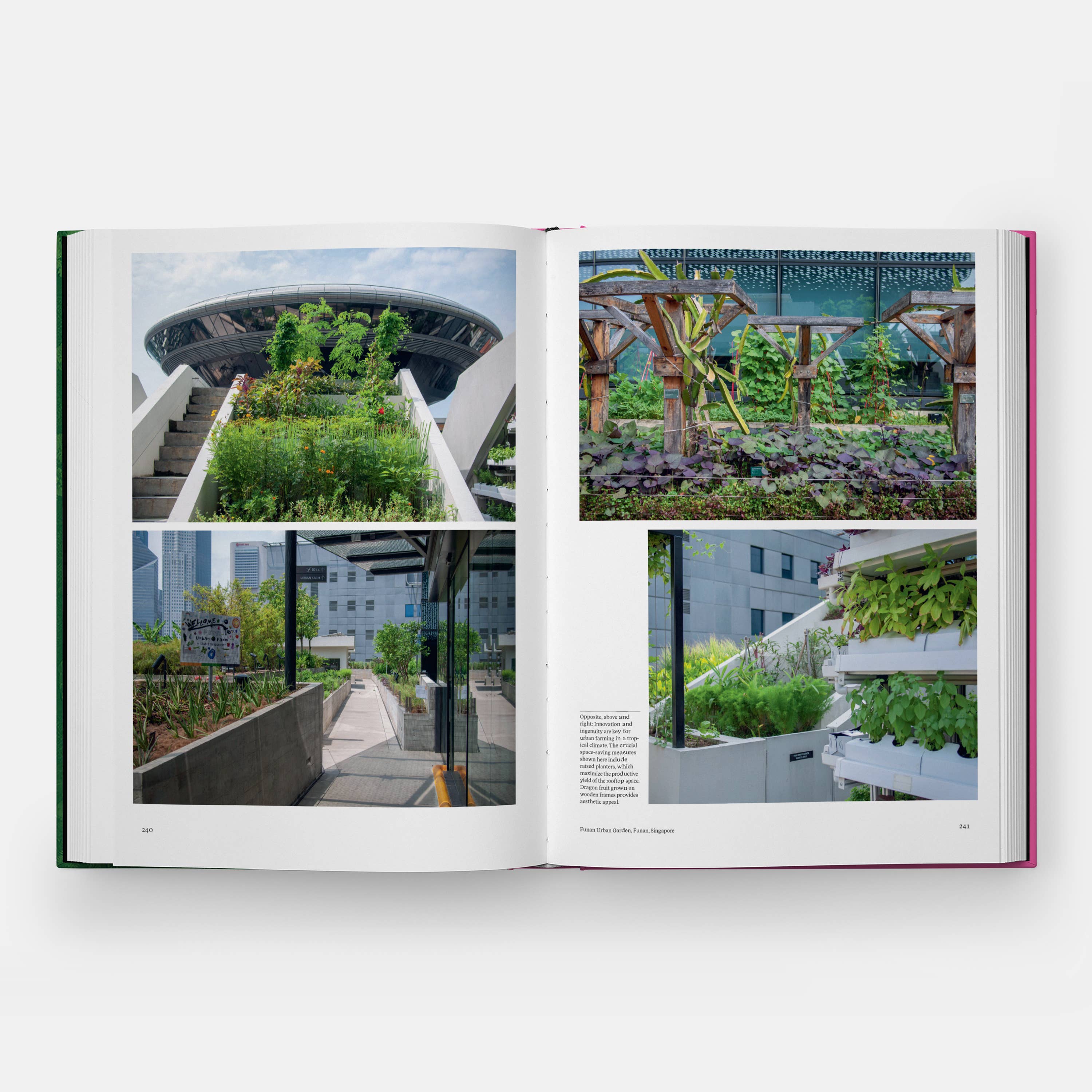The Kitchen Garden