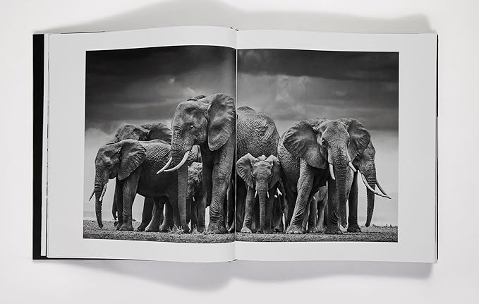 David Yarrow: The Collection
