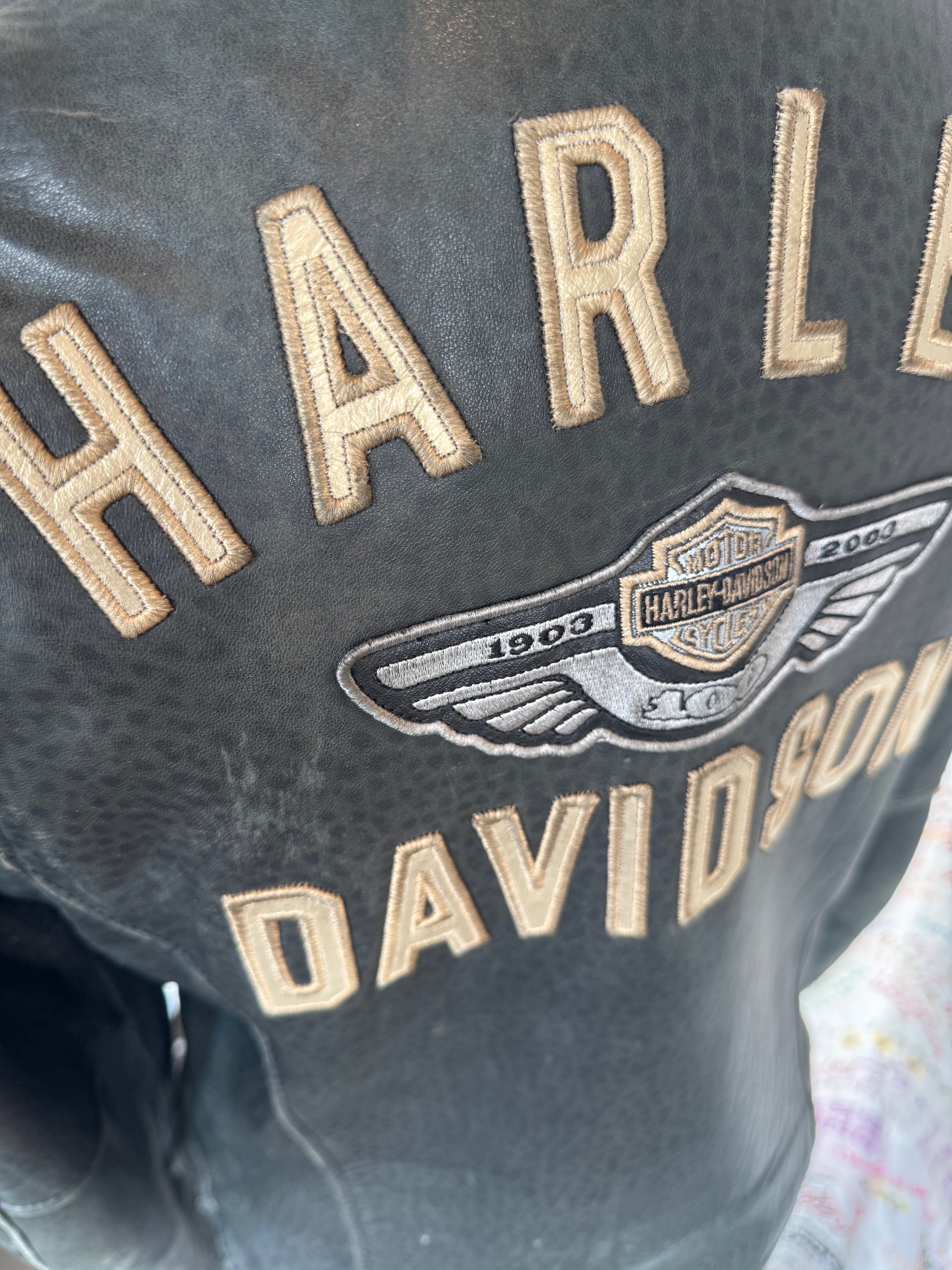 Harley Davidson 100 year Commemorative Leather Jacket