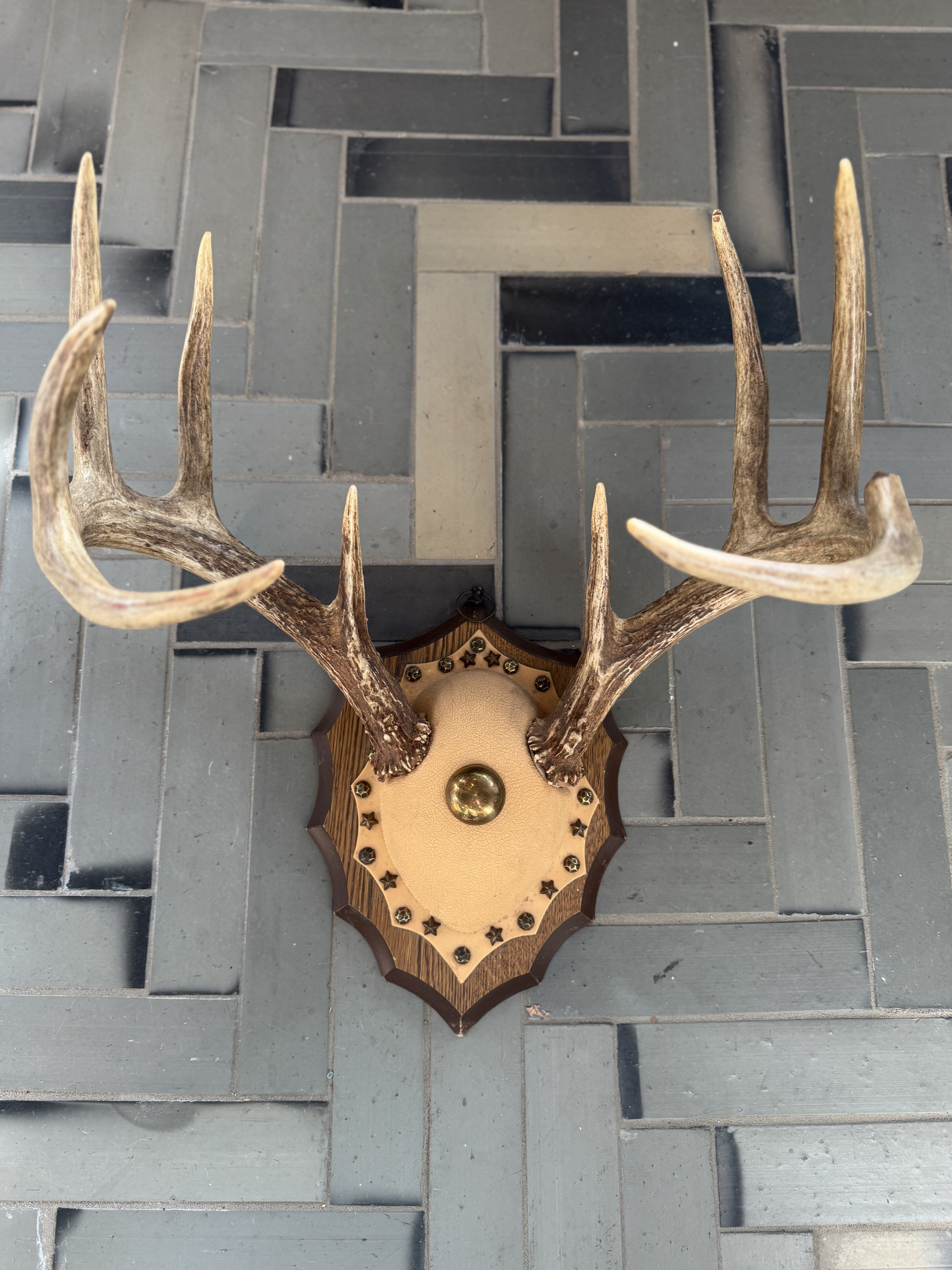 Antler Rack w/ Brass Tacks & Stars