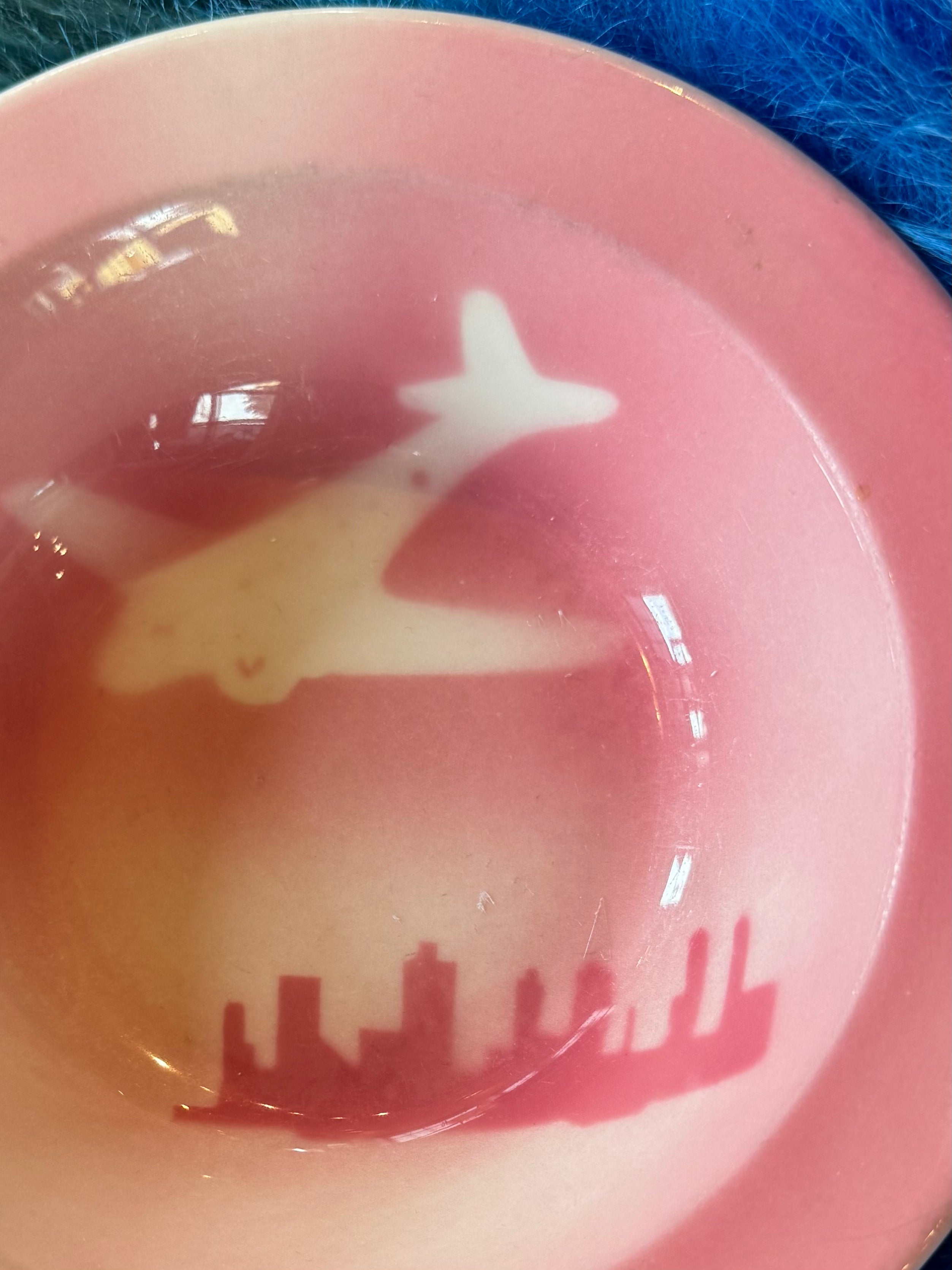 Pink Airplane Bowl