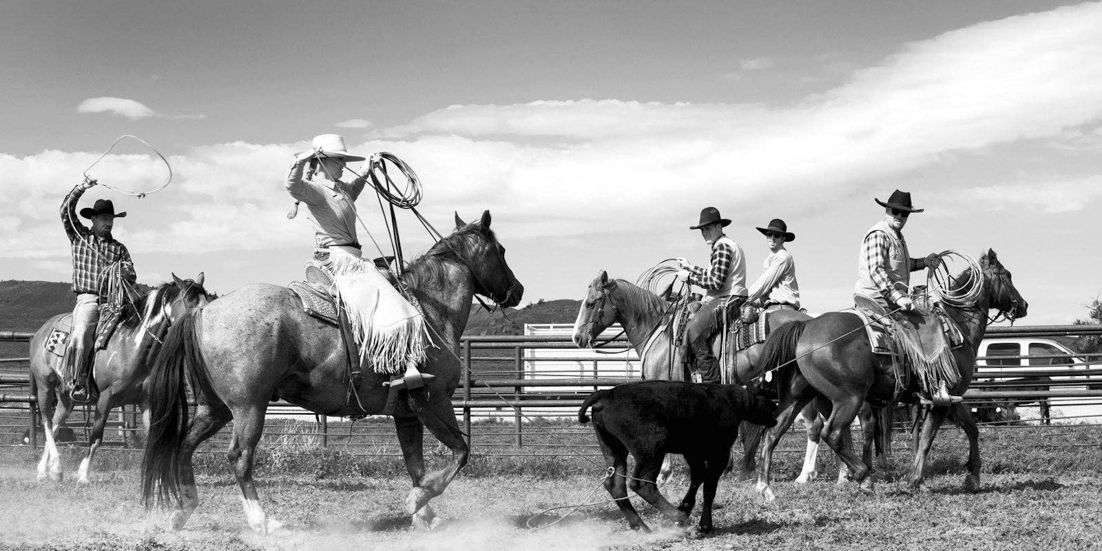 A Ranch Year by Isabelle Arnon