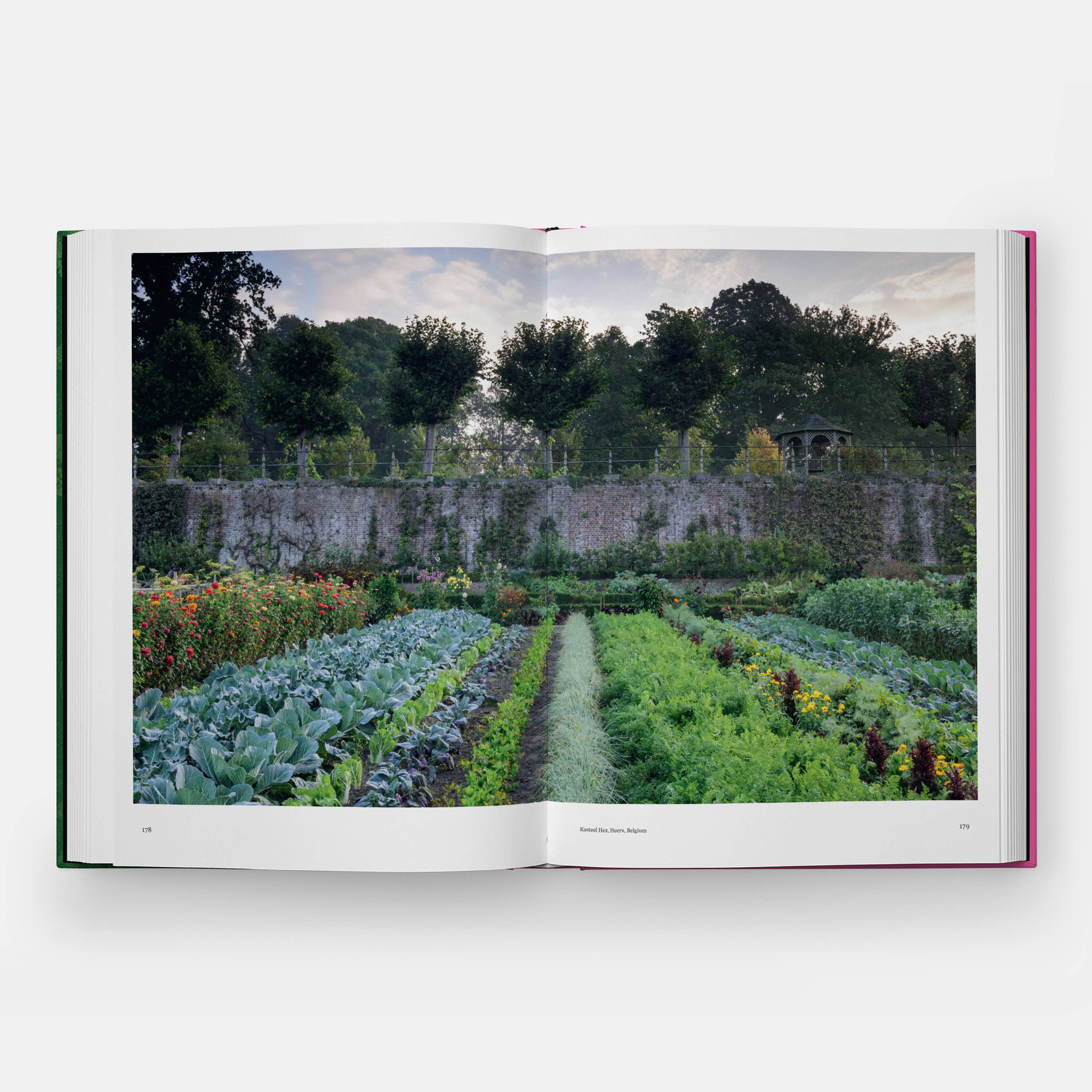 The Kitchen Garden