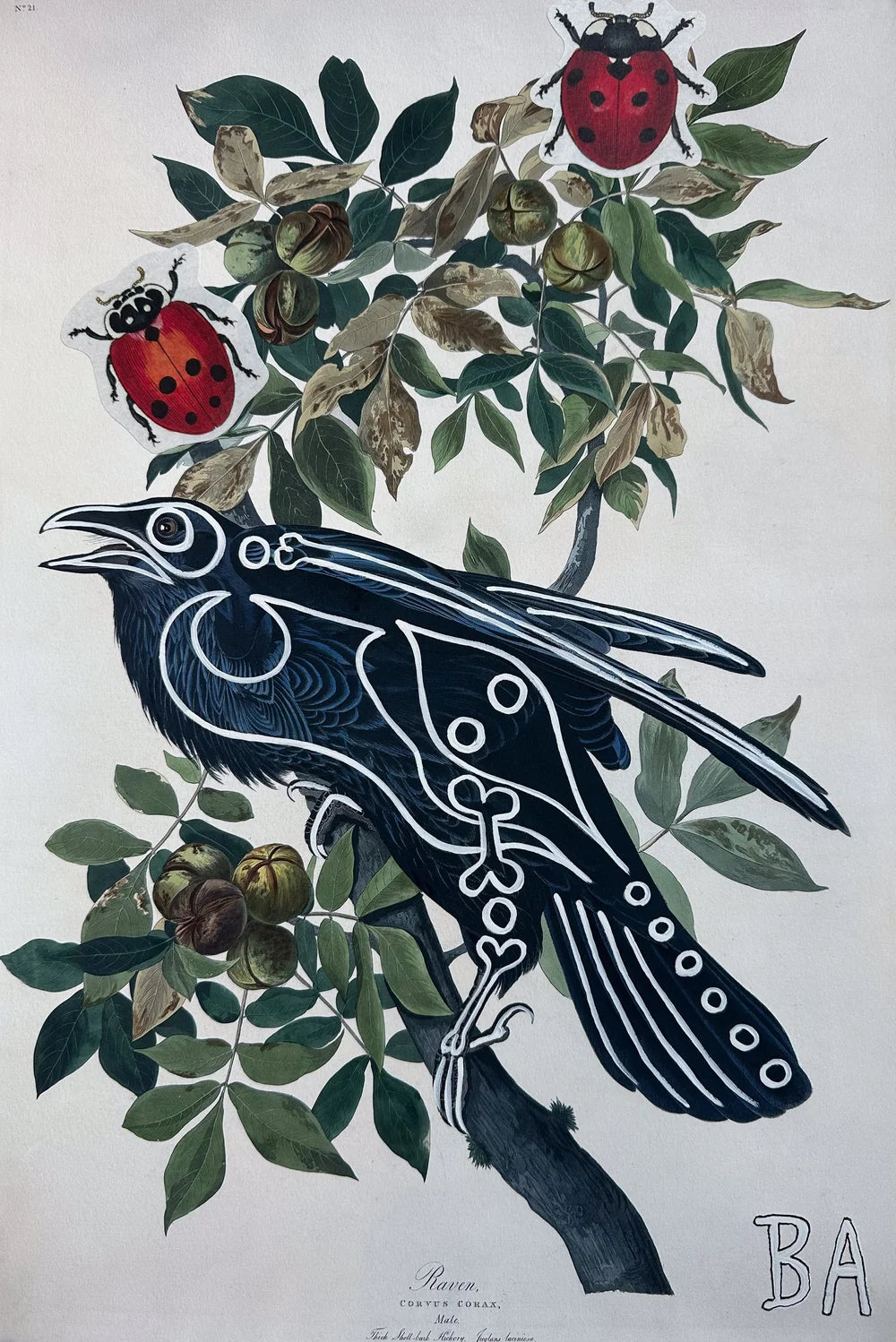 Crow (Print) by Butch Anthony