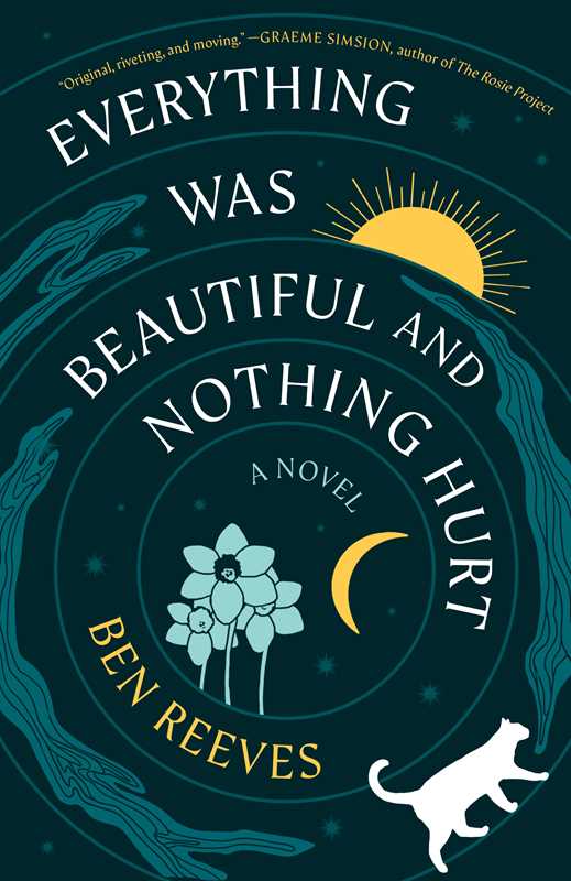 Everything Was Beautiful and Nothing Hurt by Ben Reeves