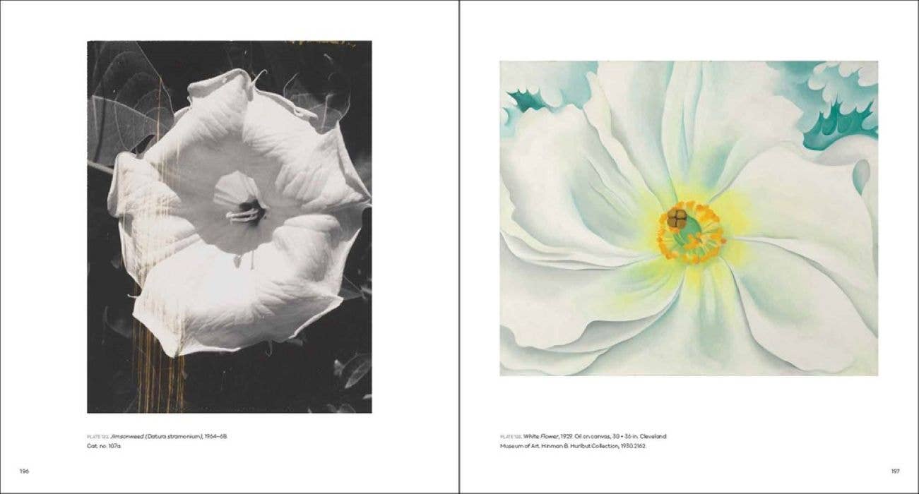 Georgia O'Keeffe, Photographer: